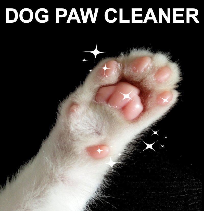 A sparklin clean Dog paw thanks to a Dog Paw Cleaner